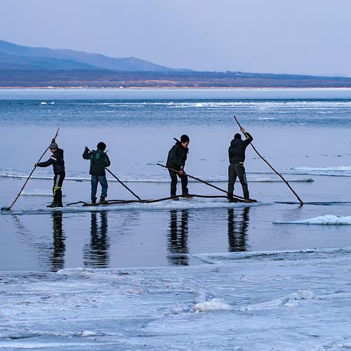 Photo #3691674