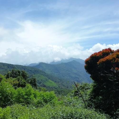 Photo #3691713