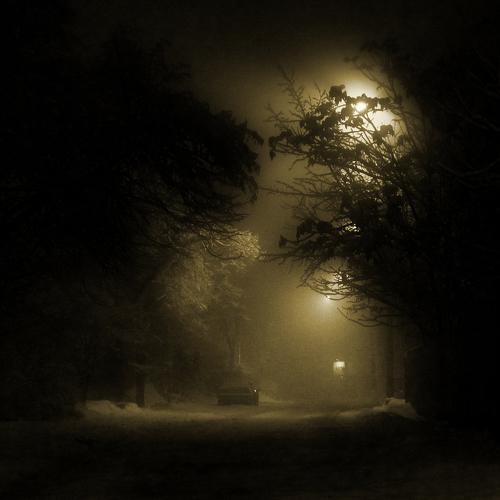 Photo #3692085