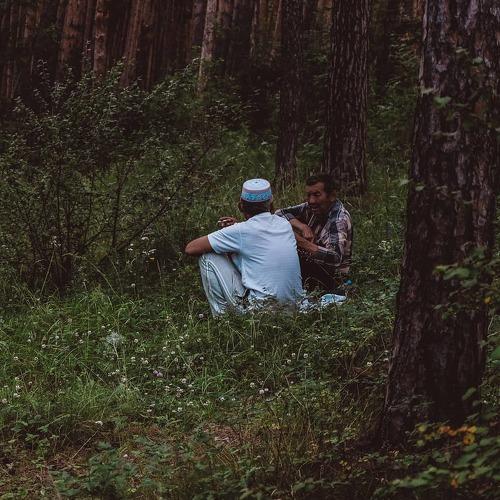 Photo #3692241