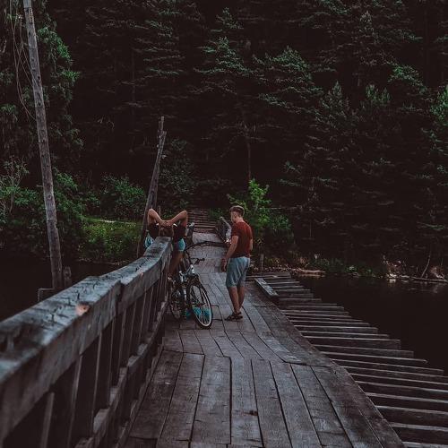 Photo #3692271
