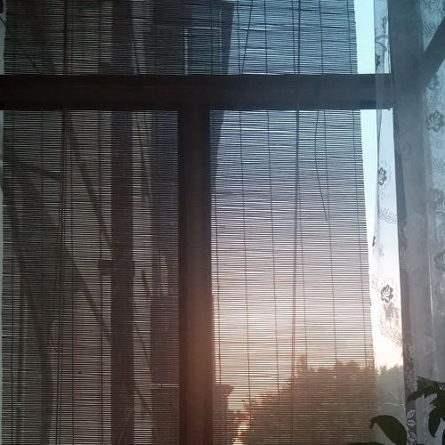 Photo #3692718
