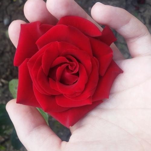 Photo #3692764