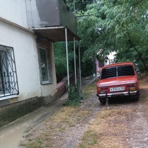 Photo #3692774