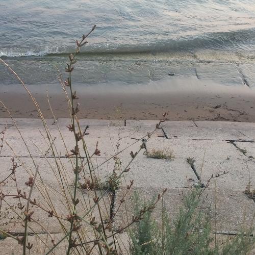 Photo #3692791