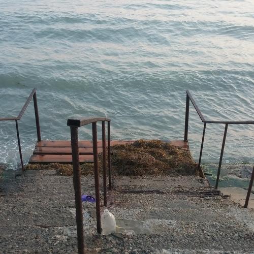 Photo #3692795