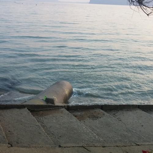Photo #3692803