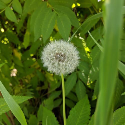 Photo #3693170