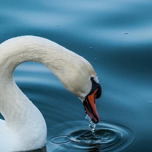 Photo #3693177
