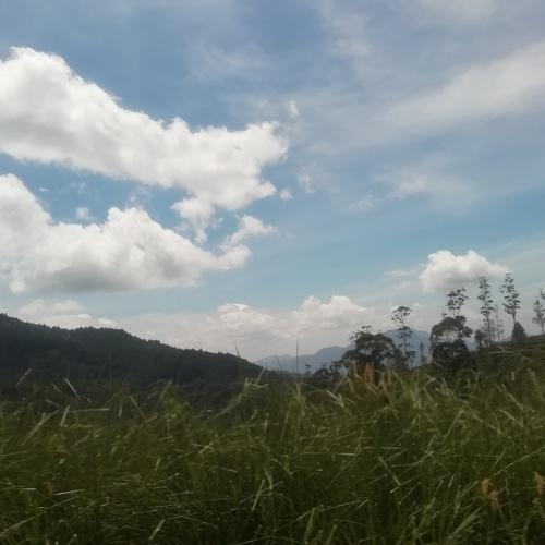 Mountain Range