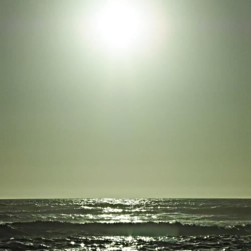 Photo #3693526