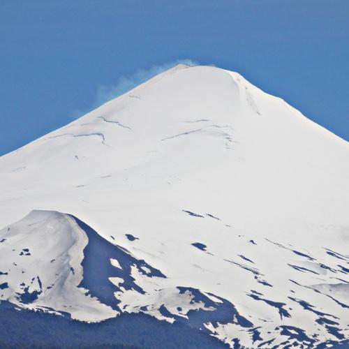 Photo #3693529
