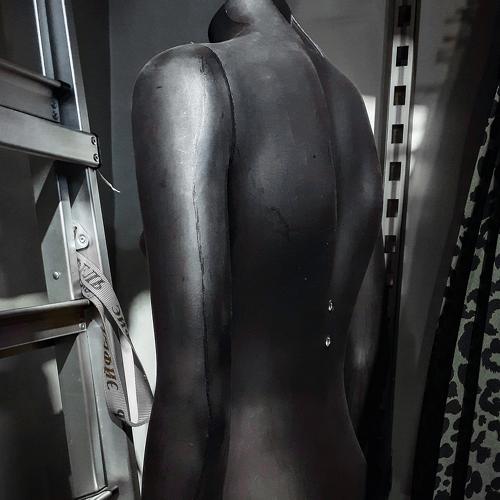 Photo #3693948