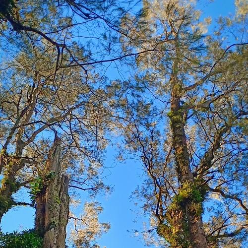 Photo #3694136
