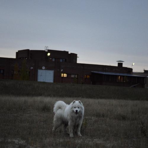 Photo #3694381