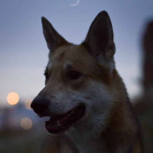 Photo #3694383