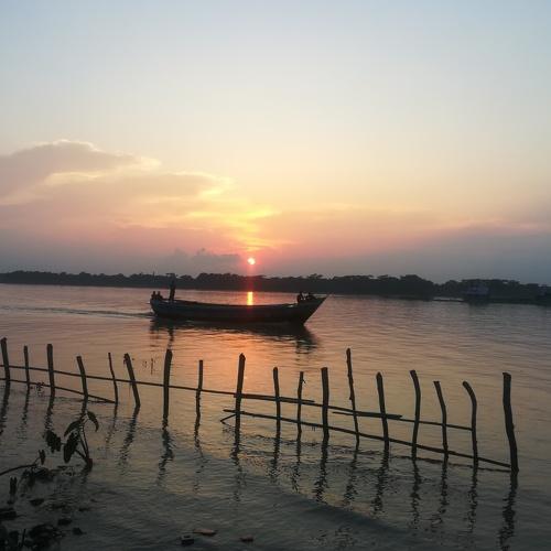 Photo #3694459
