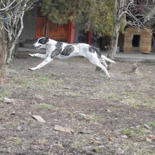 Photo #3694788