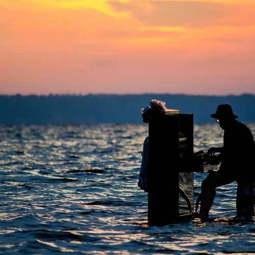 Photo #3694866