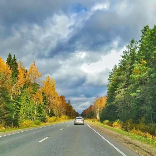 Осень
