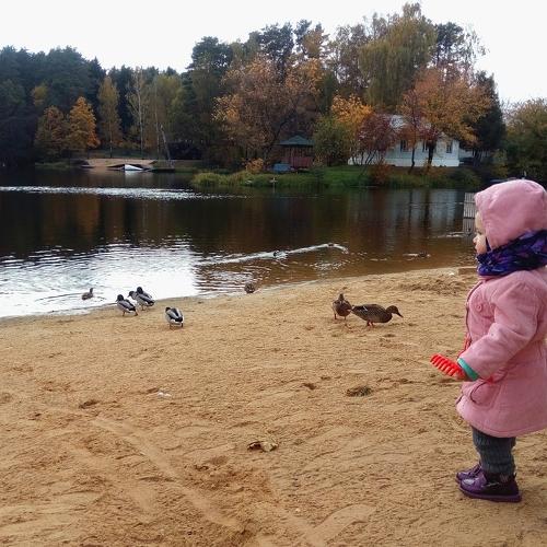 Photo #3695201