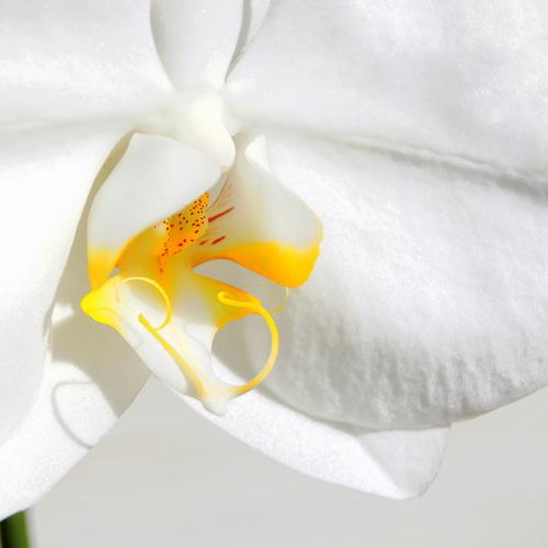 Photo #3695825