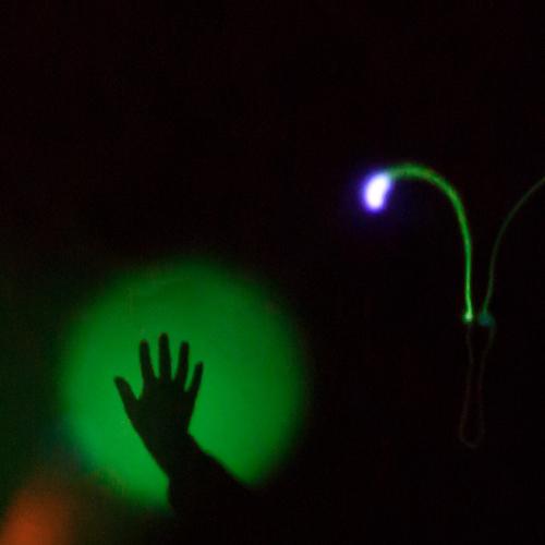 Photo #3696343