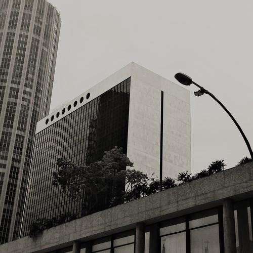 Photo #3697043
