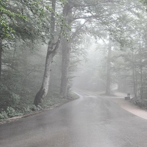 Photo #3697101