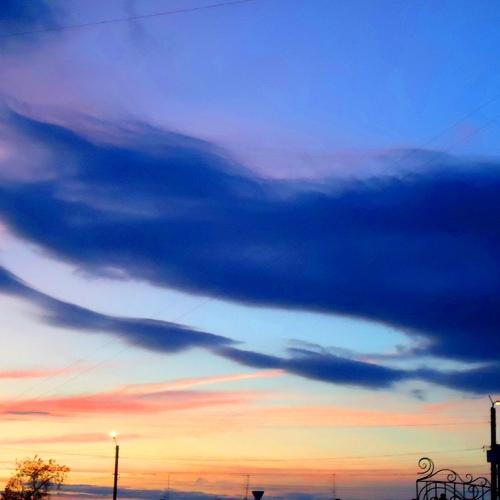 Photo #3697164