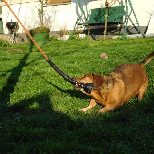 Photo #3697259