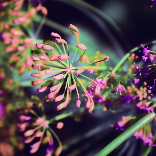 Photo #3697736