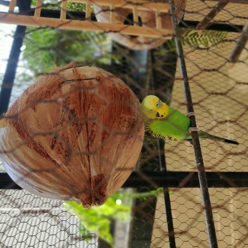 Photo #3697793