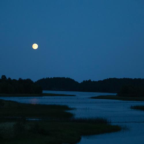 Photo #3698052
