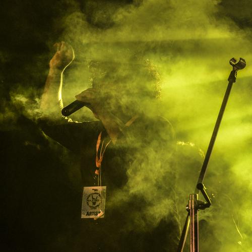 Photo #3698069