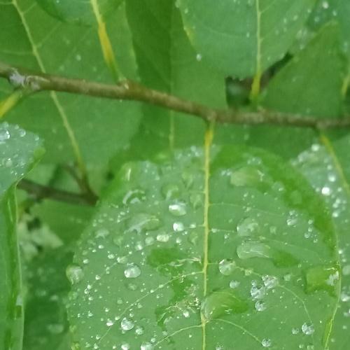 Photo #3698259