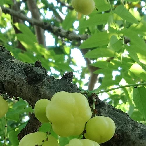 Photo #3698267