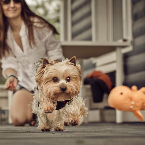 Photo #3698465