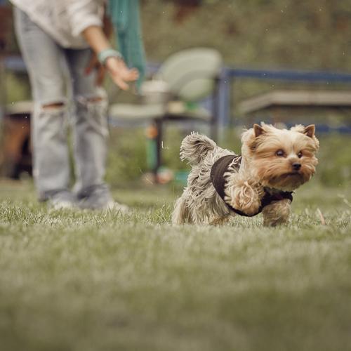 Photo #3698468