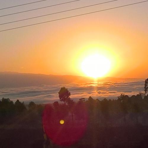 Photo #3698629