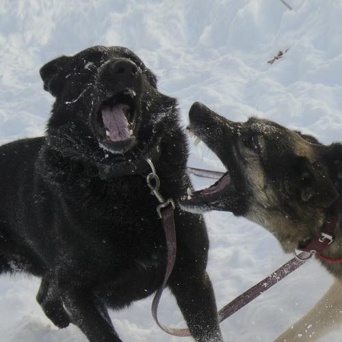 Photo #3700308