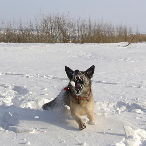 Photo #3700311