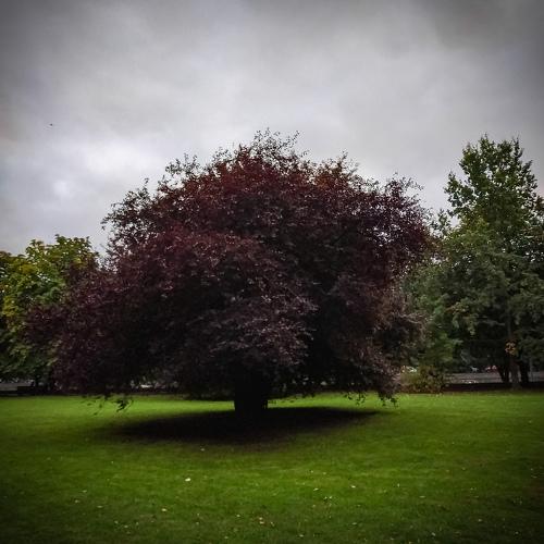 Photo #3700349