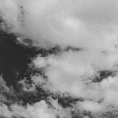 Photo #3700805