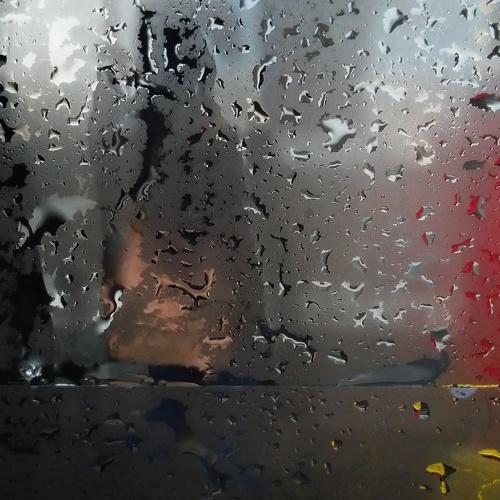 Photo #3700892