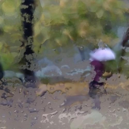 Photo #3700934