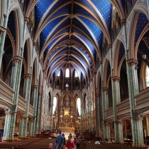 Photo #3701360