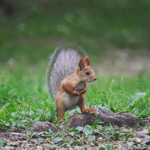 Photo #3701654