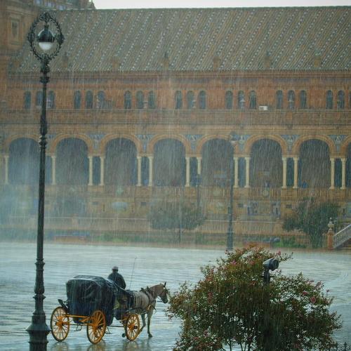 Photo #3701680