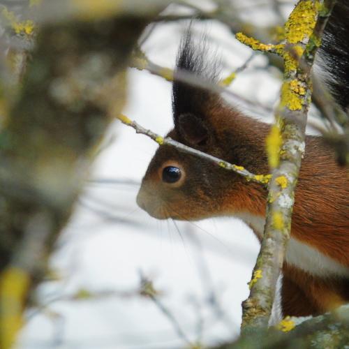 Photo #3701684